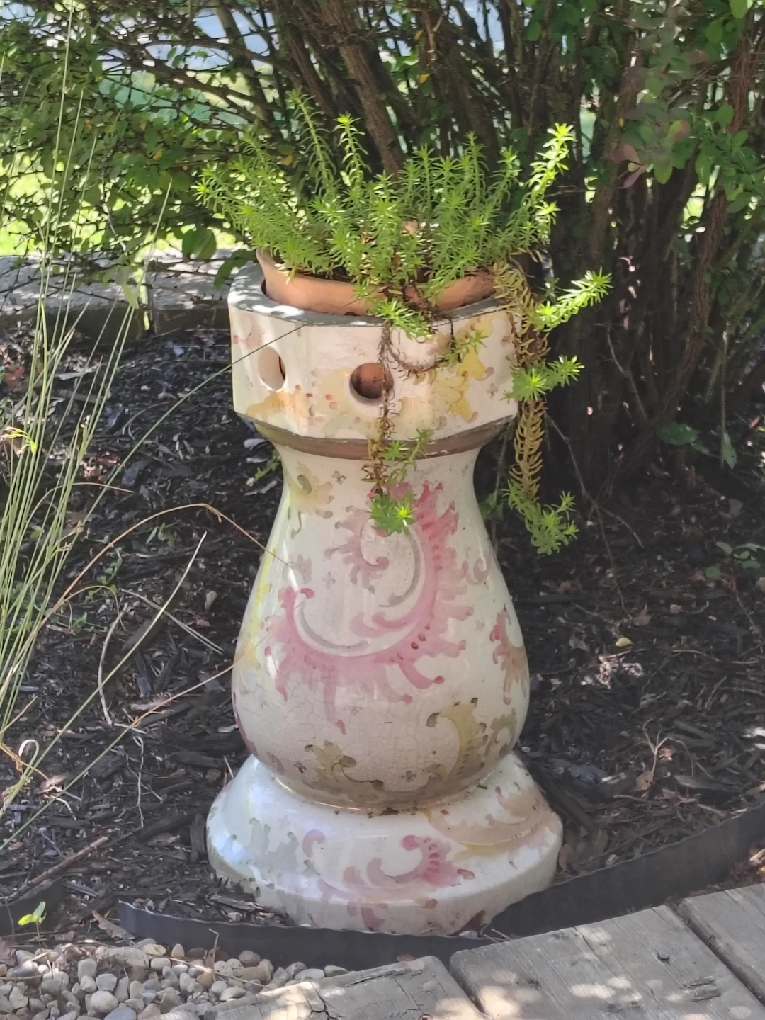 Garden Ceramic Planter Pedestal and Perennial Sedum