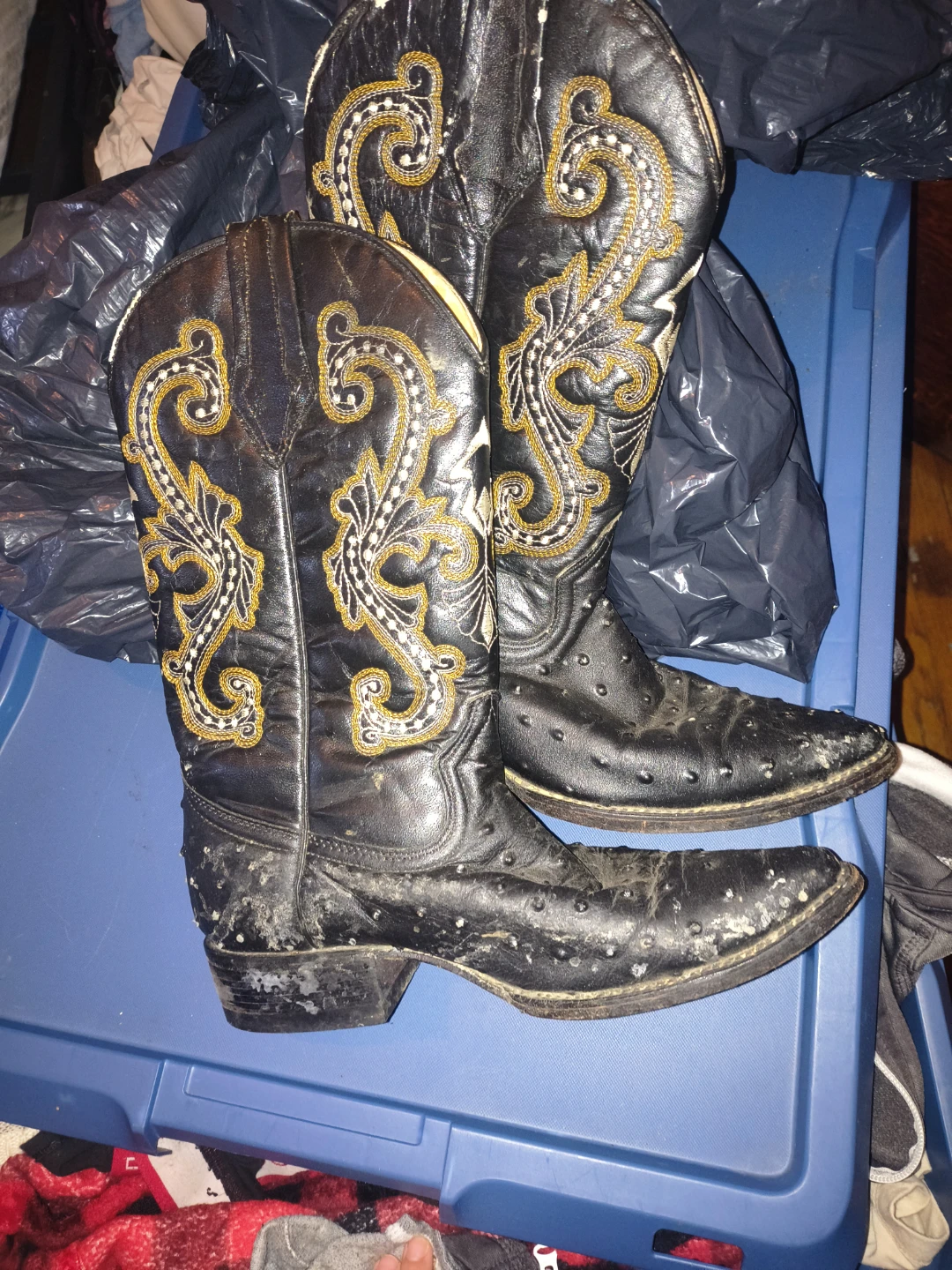 Boots