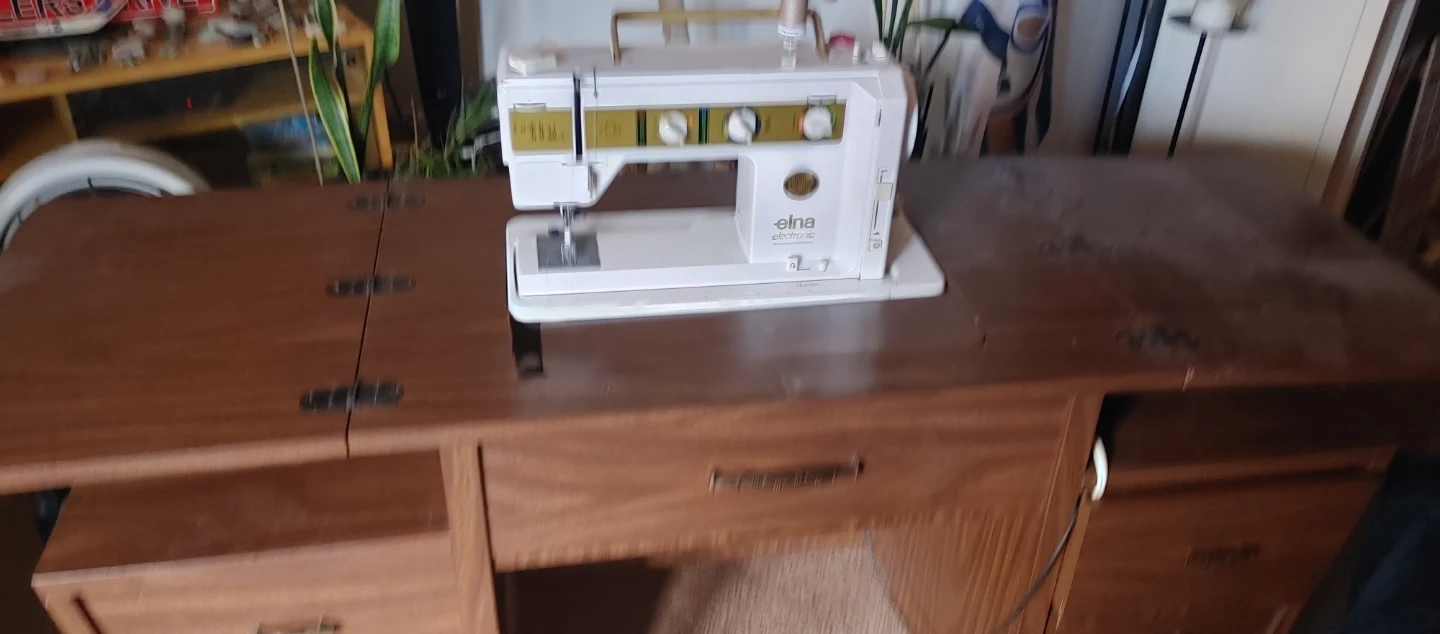 Elna Golden Jubilee Electronic Sewing Machine