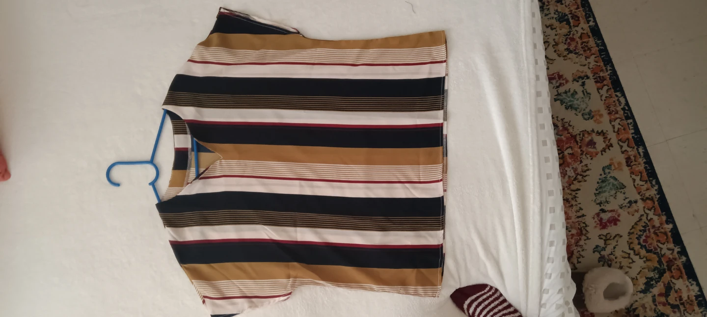 Striped V-Neck Blouse