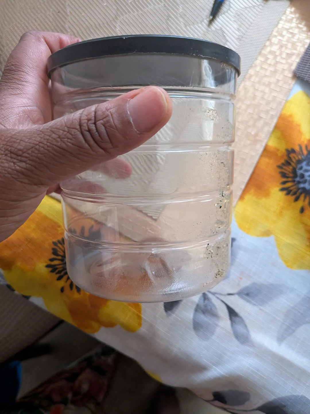 Clear Plastic Storage Container
