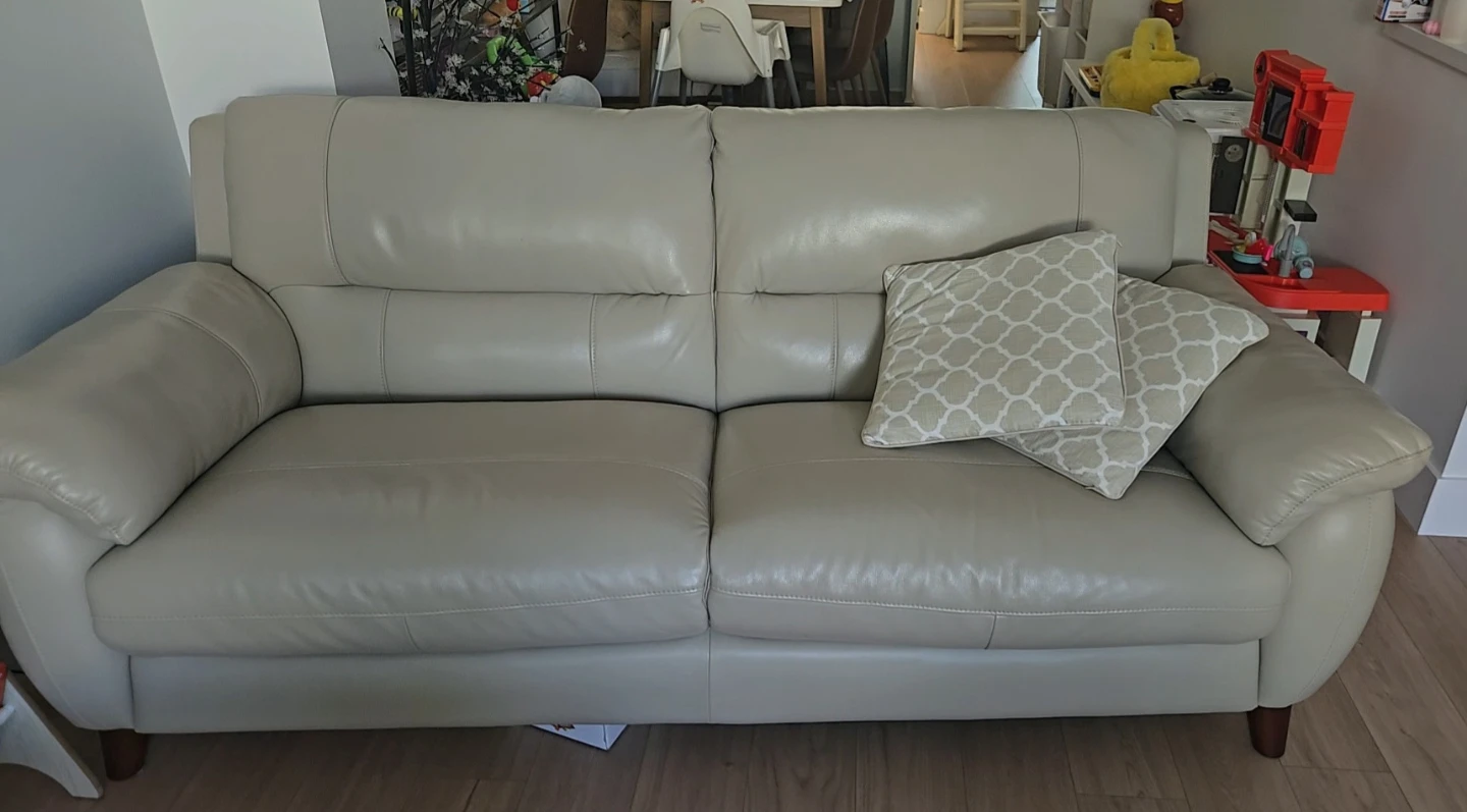 Hydeline Canada Lara Leather Sofa - photo 2
