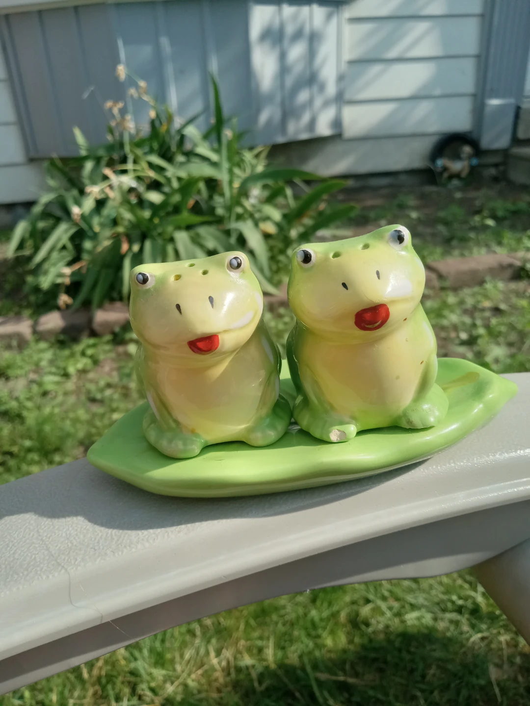 Ceramic Frog Salt and Pepper Shakers