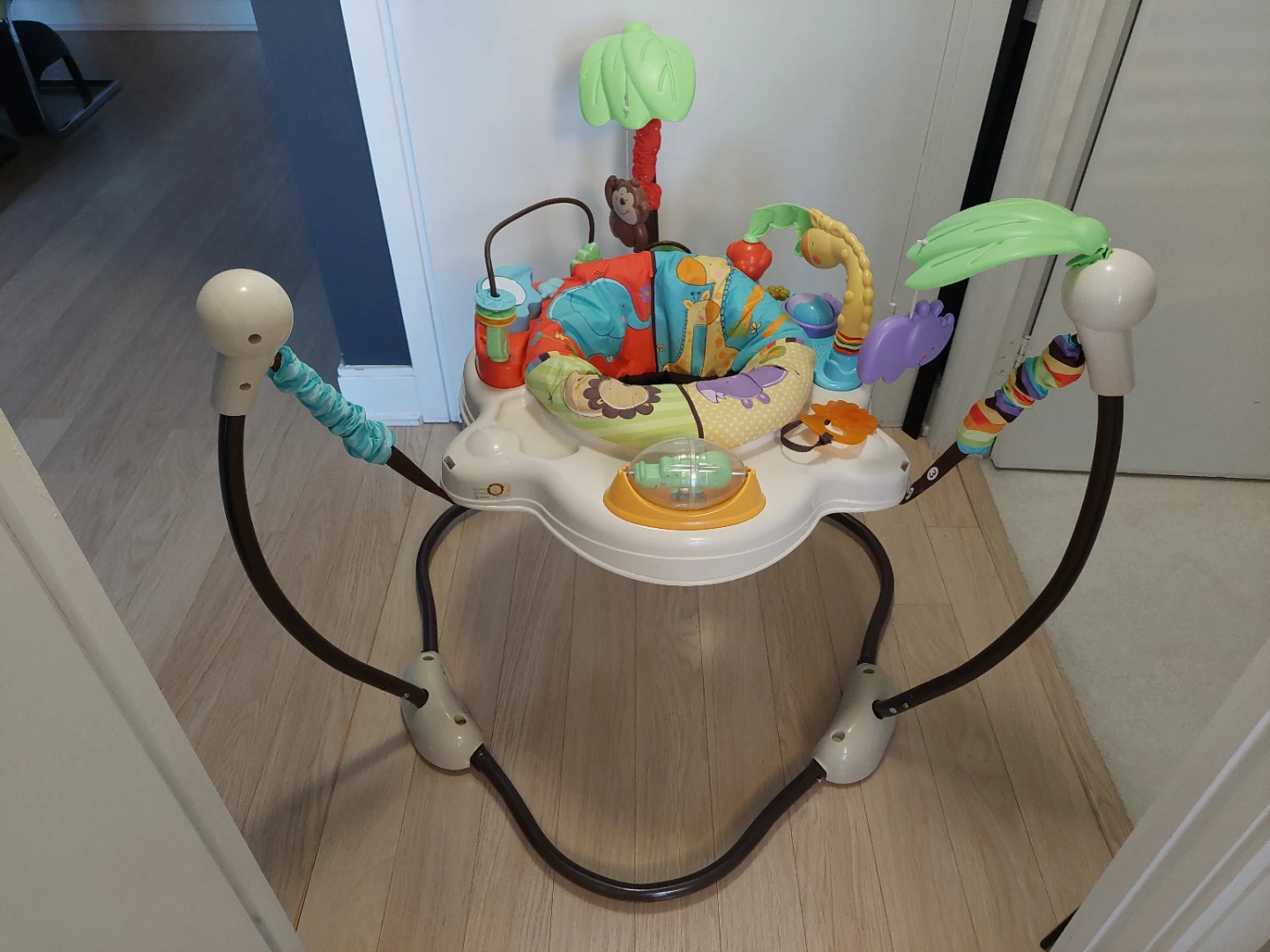 Fisher Price Zoo Jumperoo