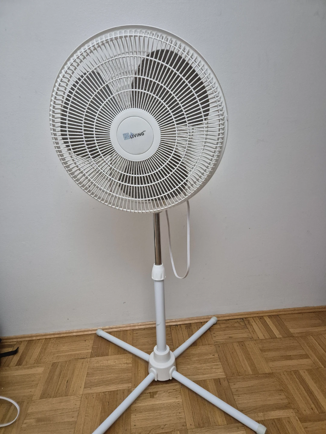 Living Standing Fan