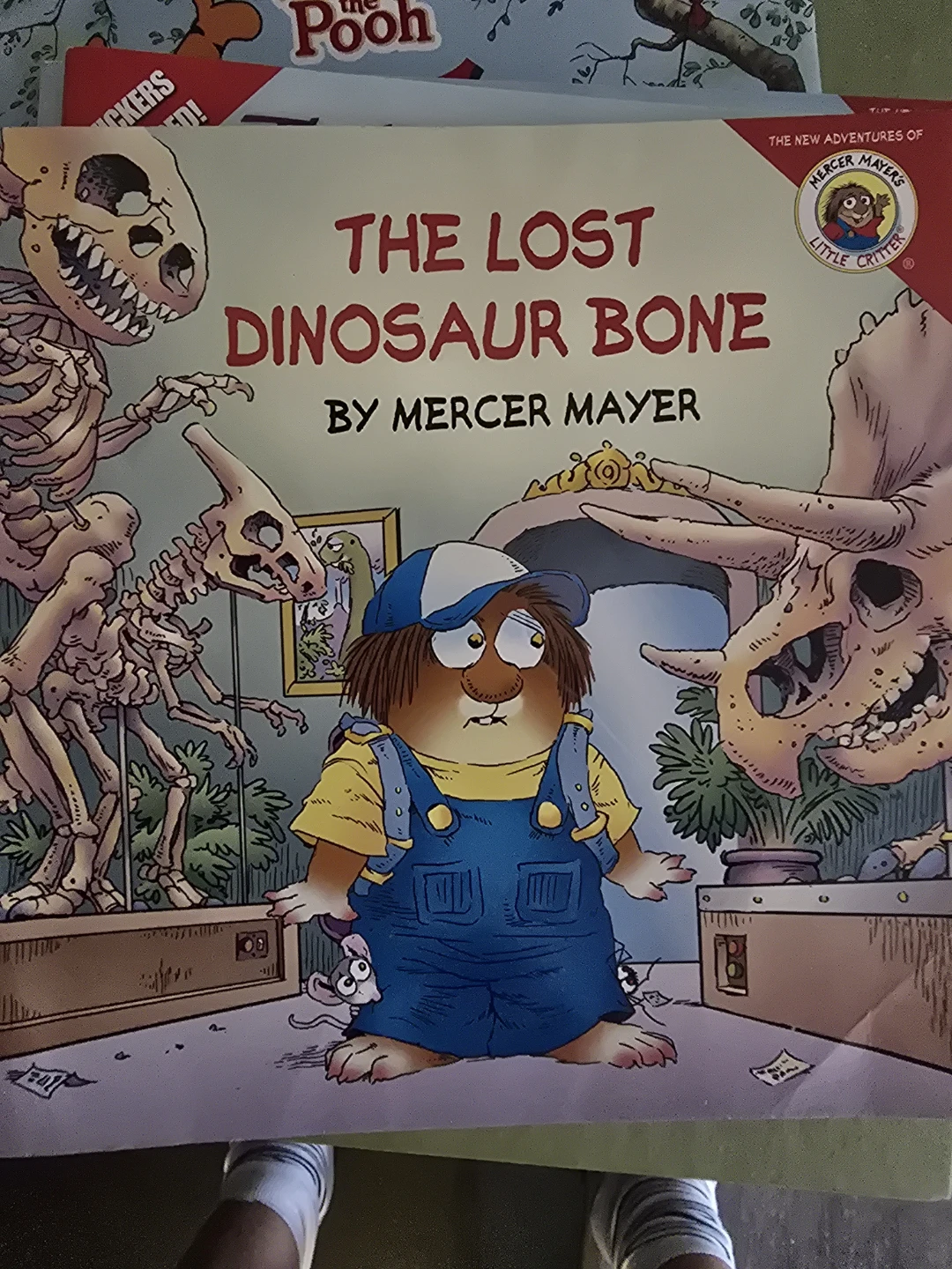 The Lost Dinosaur Bone by Mercer Mayer