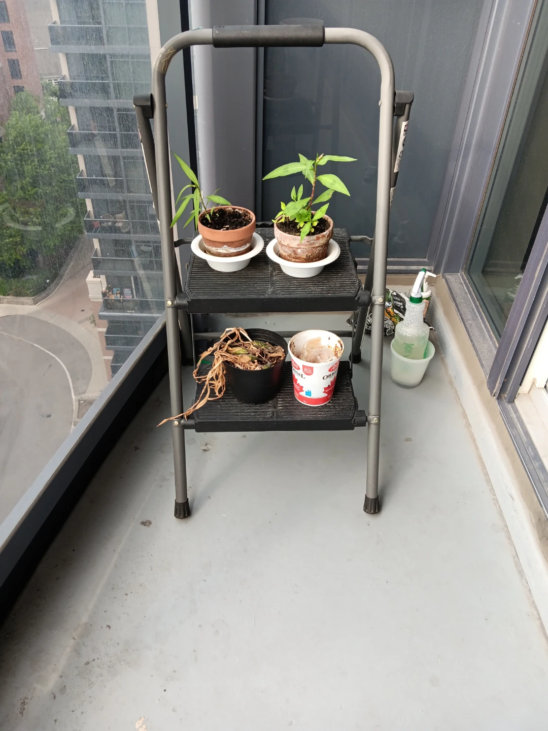 Moving Out sale- Small Step Stool with Plants