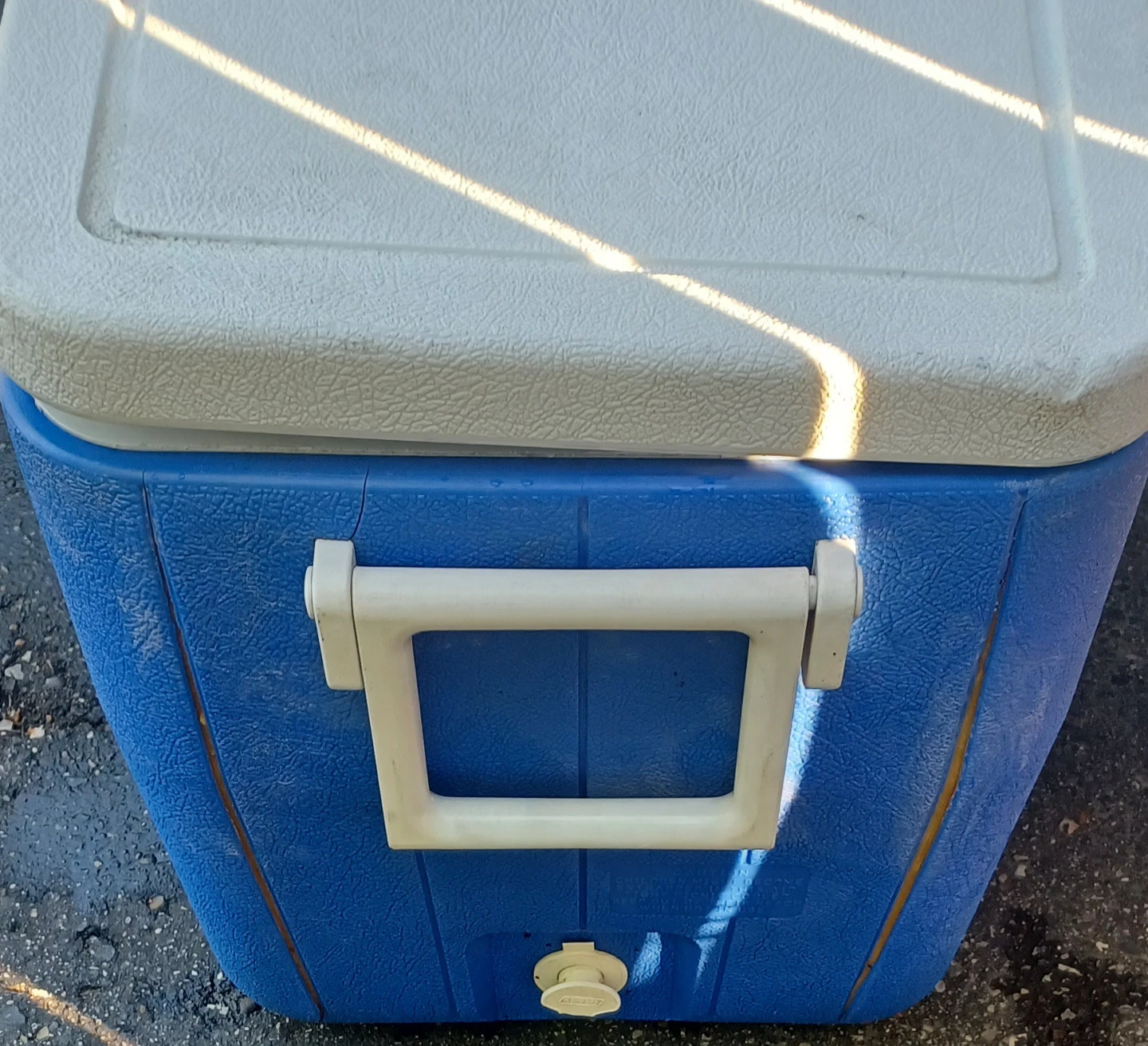 Coleman Blue Coolers (Set of 2) - photo 4