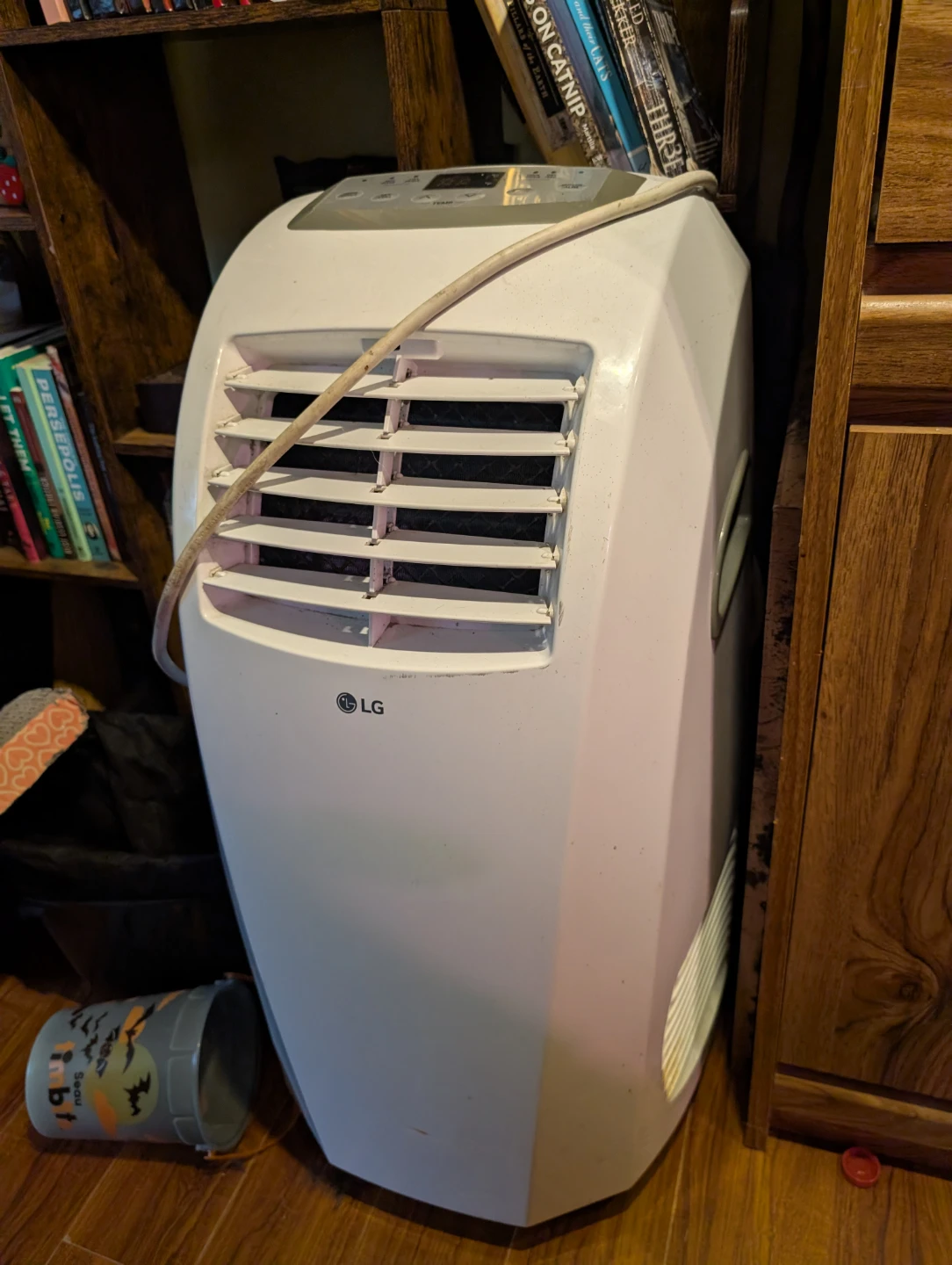 LG Portable Air Conditioner