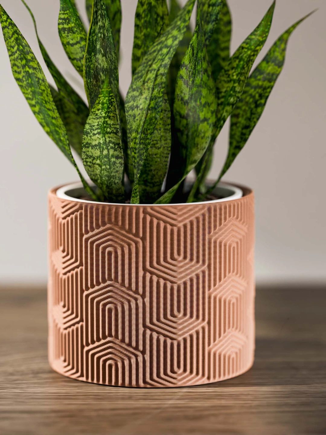 Geometric Pattern Planter Pot with drainage.