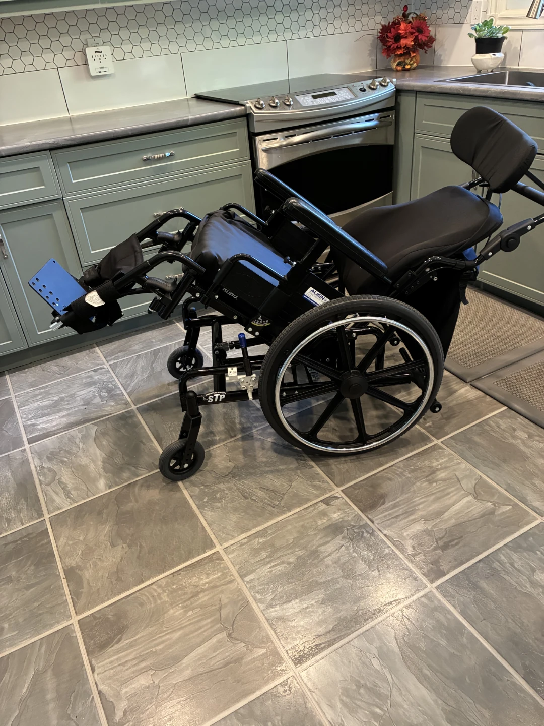Align Health Wheelchair with Headrest - photo 3