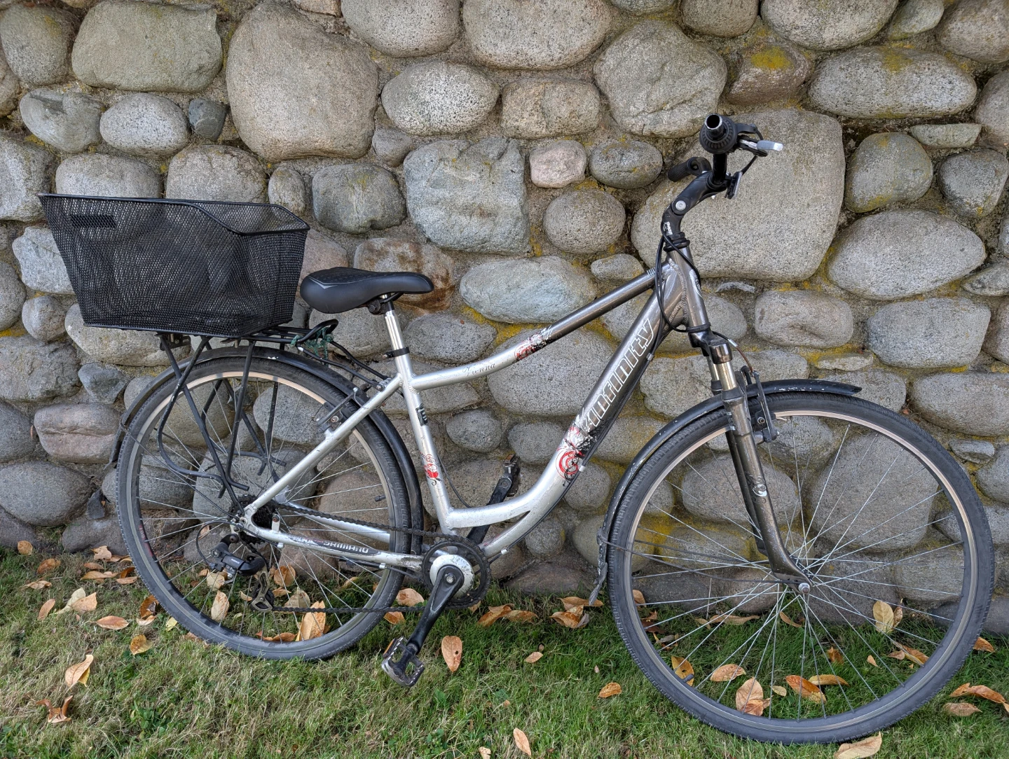Infinity Women's Cruiser Bike with Basket