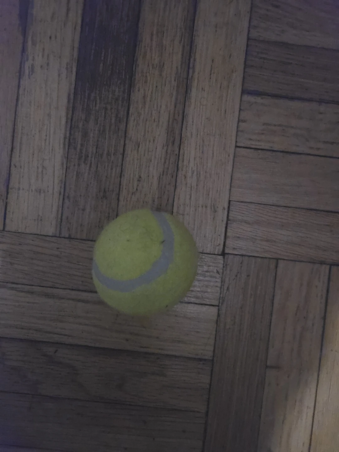 Yellow Tennis Ball