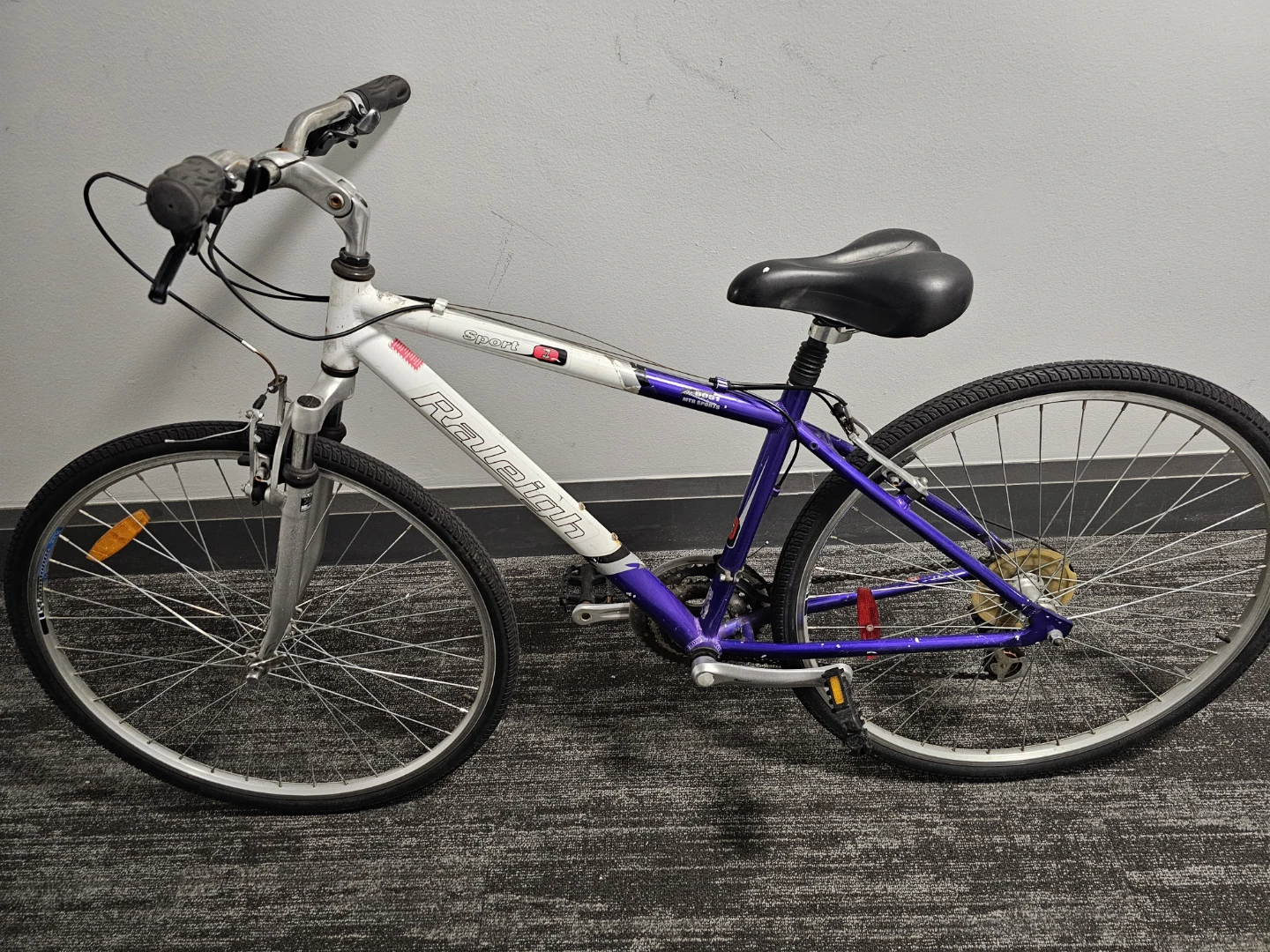 Raleigh Sport Mountain Bike