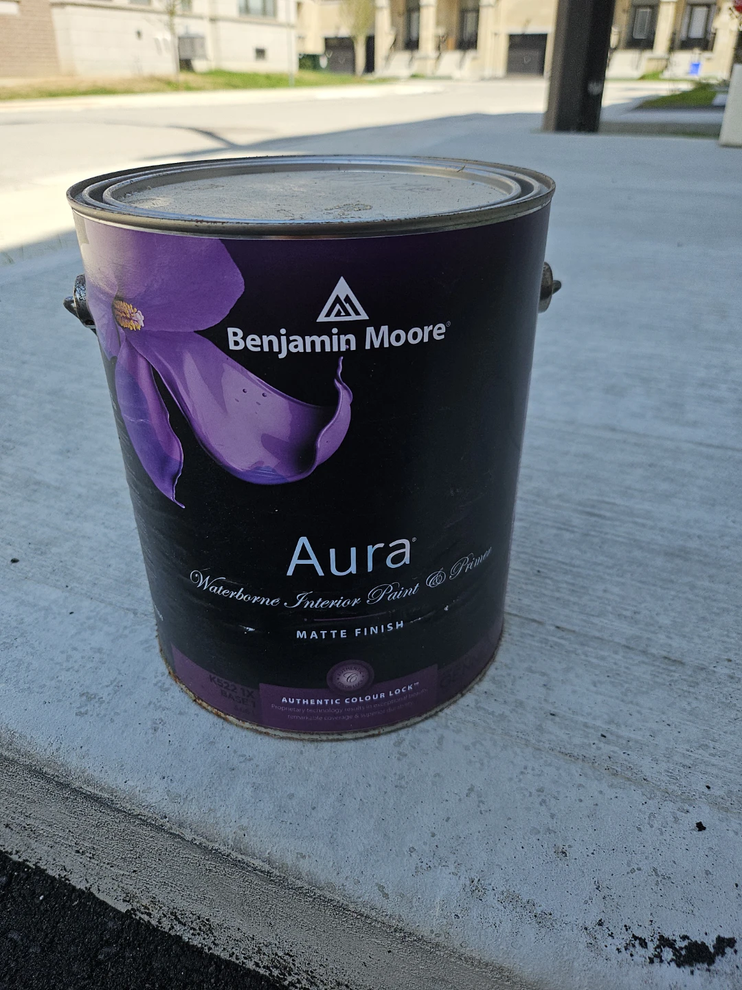 Benjamin Moore Aura Waterborne Interior Paint & Primer