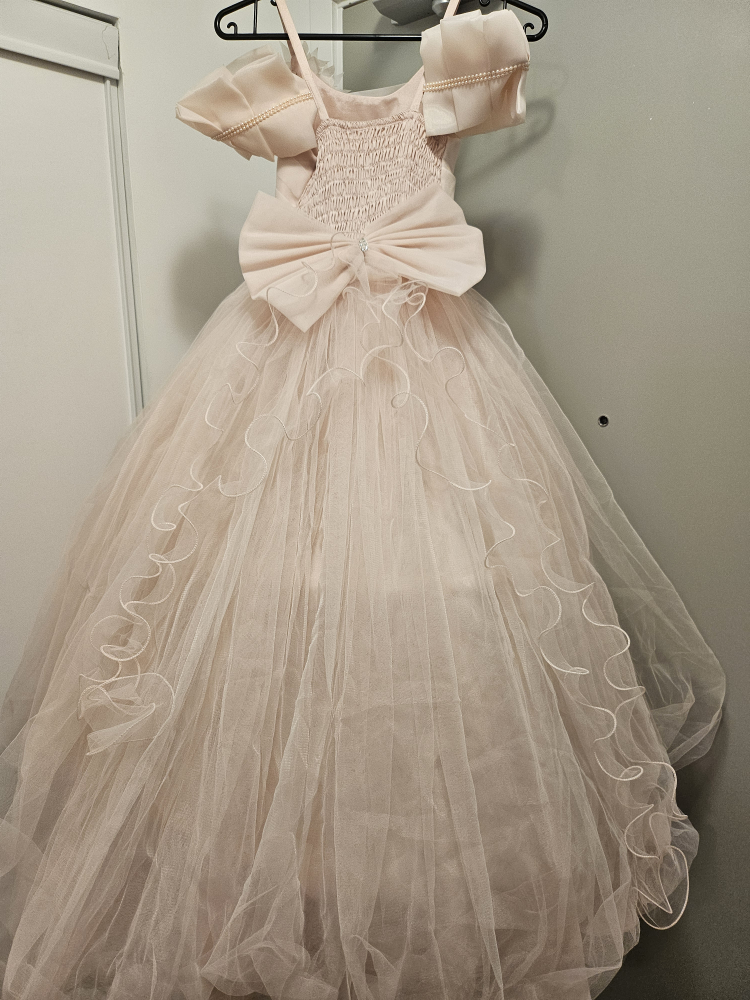 Girls Fancy Party Dress - photo 2