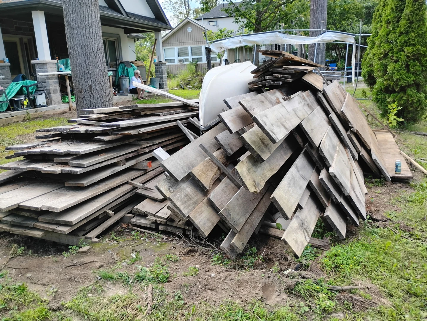 White pine for sale