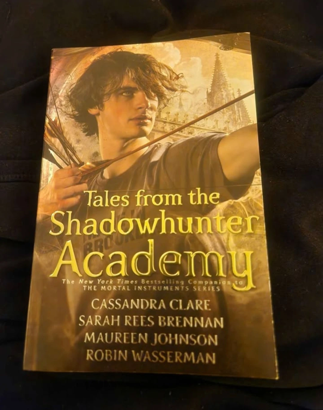 Tales from the Shadowhunter Academy by Cassandra Clare
