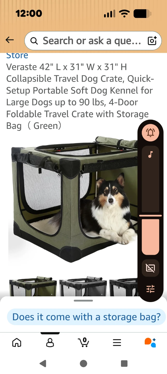 Veraste 42" Collapsible Travel Dog Crate - Green