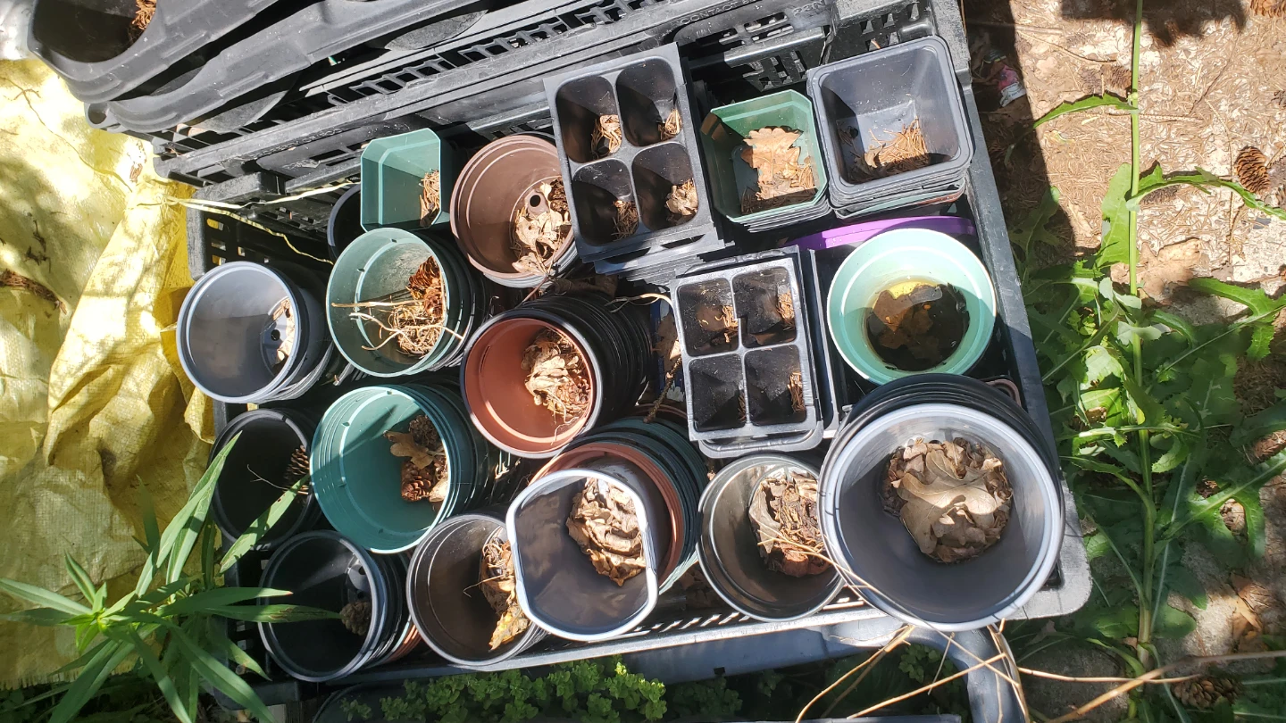 Assorted Plant Pots and Seed Trays - photo 2