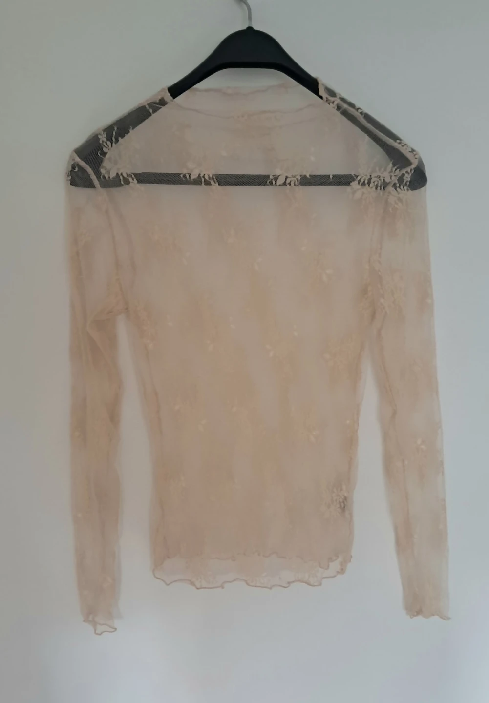 Sheer Lace Long Sleeve Top - Beige
