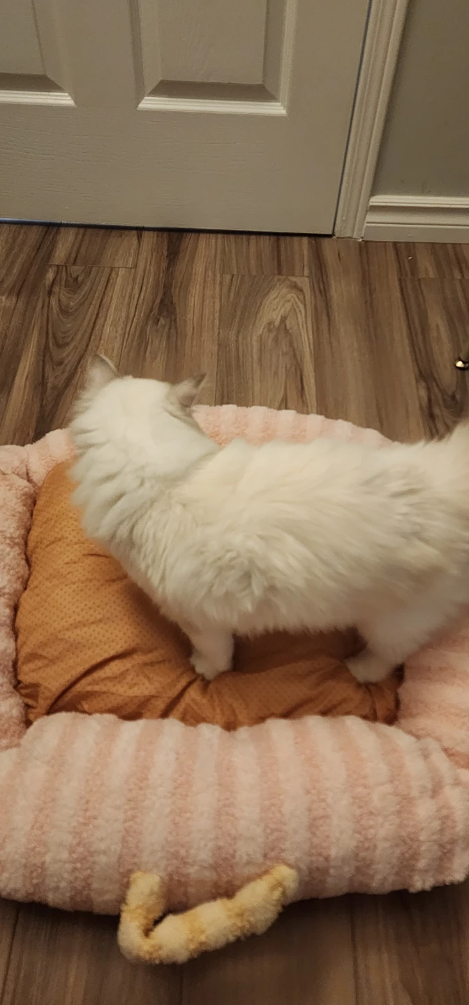 Cute Pink Pet Bed - photo 4