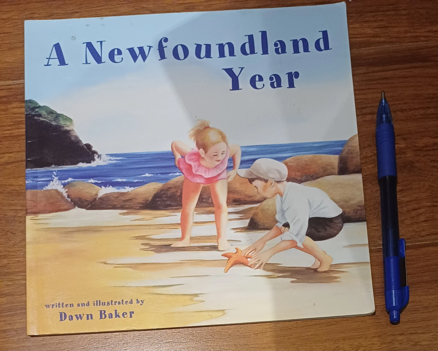 A Newfoundland Year - Children's Book by Dawn Baker