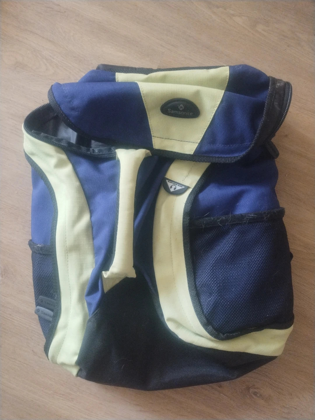 Samsonite Backpack