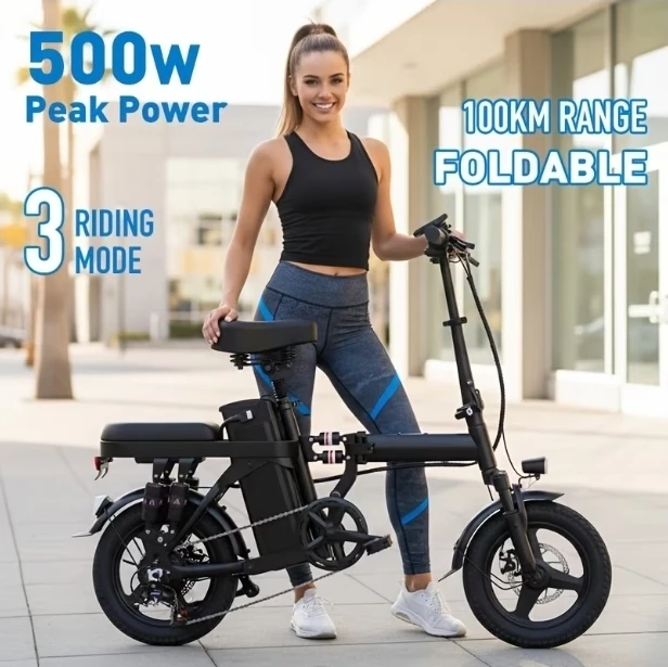 Foldable Electric Bike