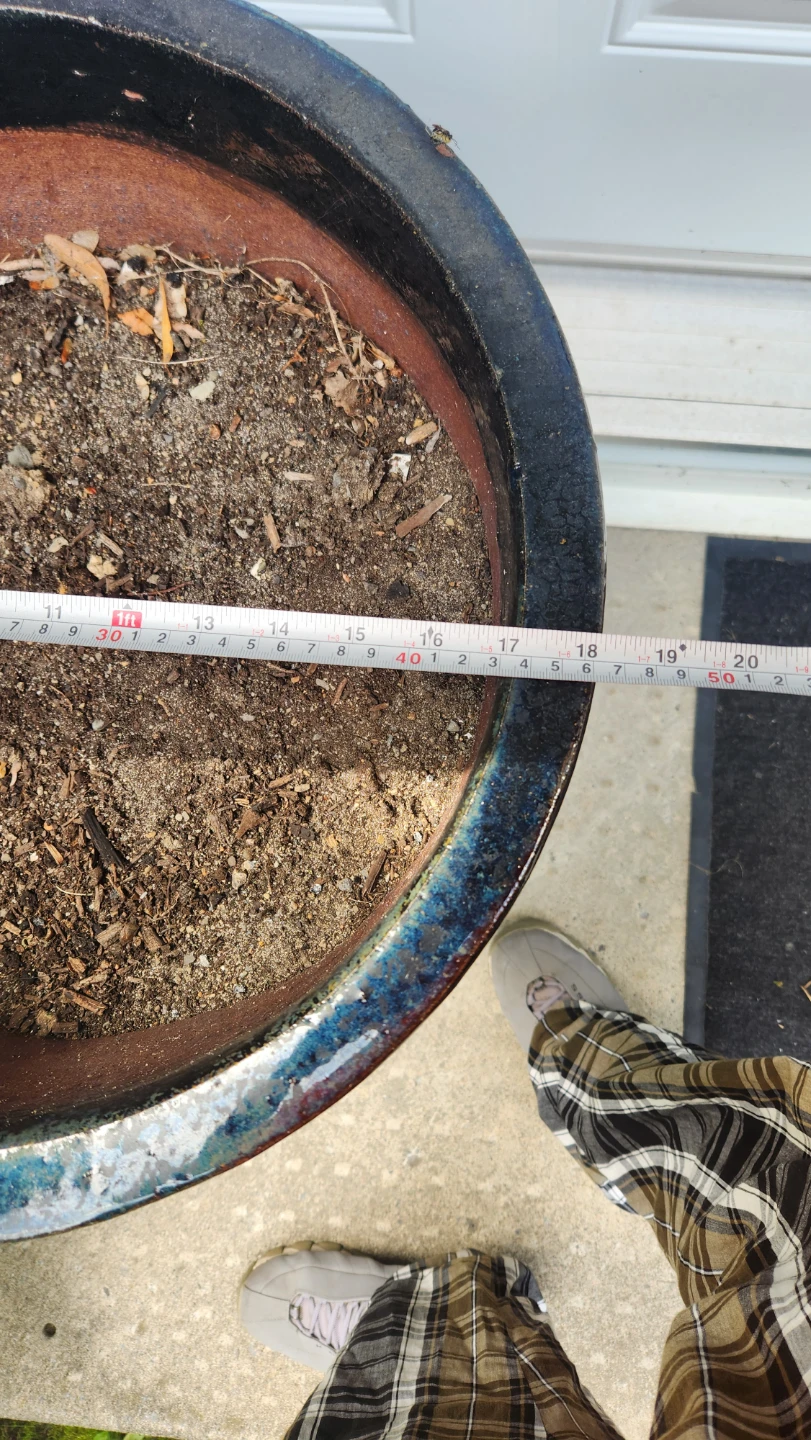 Large Black Glazed Planter Pot - photo 4