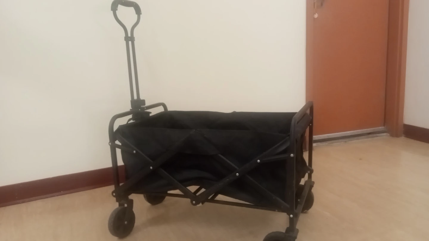 Black Collapsible Wagon