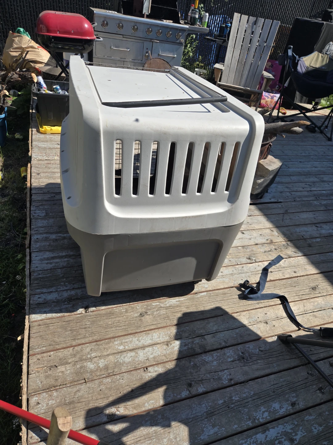 Large Plastic Pet Carrier