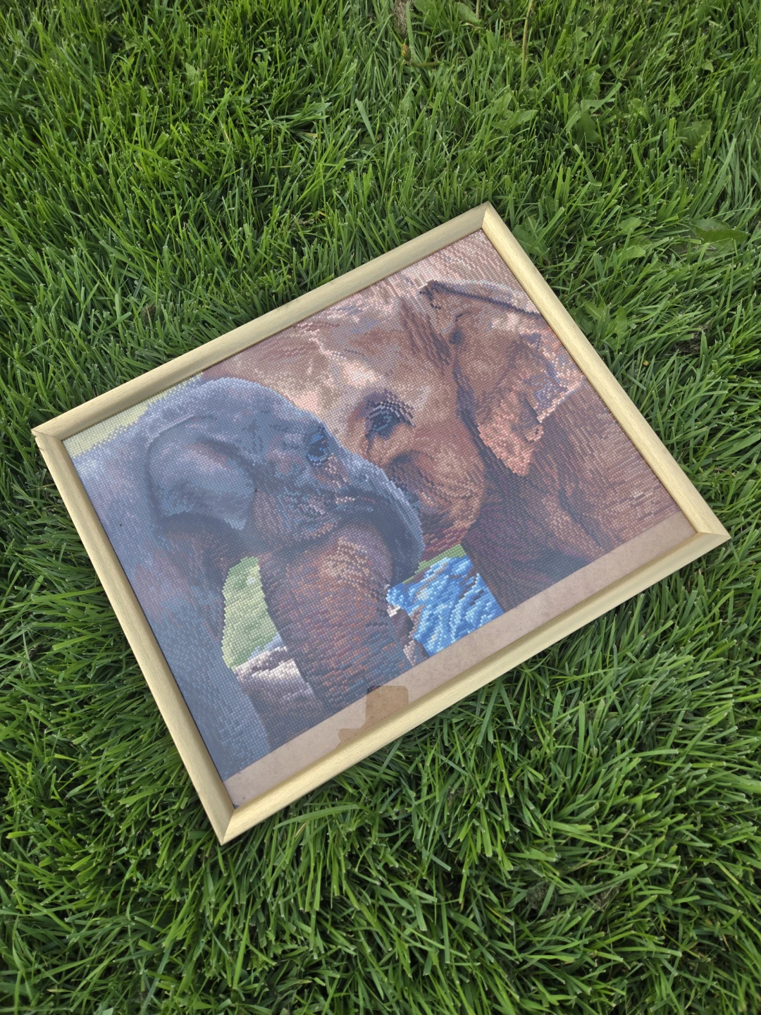 Diamond Painting in Frame - photo 3