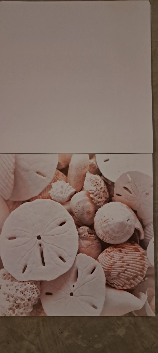 Scrapbook Paper Pad-Just Beachy - photo 5