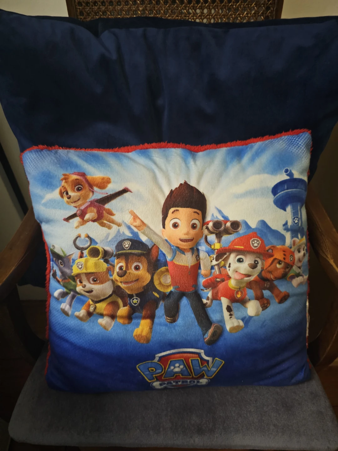 PAW Patrol Throw Pillow Cushion