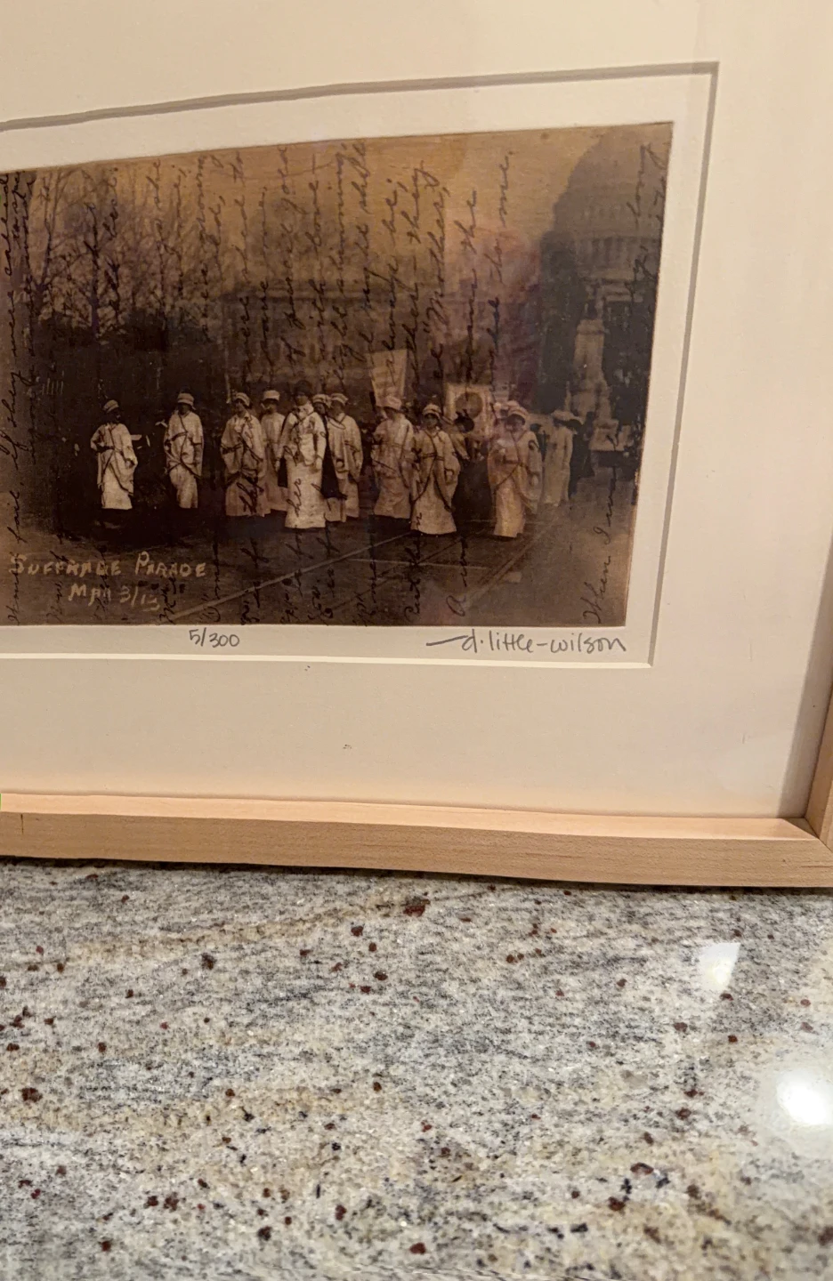 Suffrage Parade "Inherited Voices" - photo 3