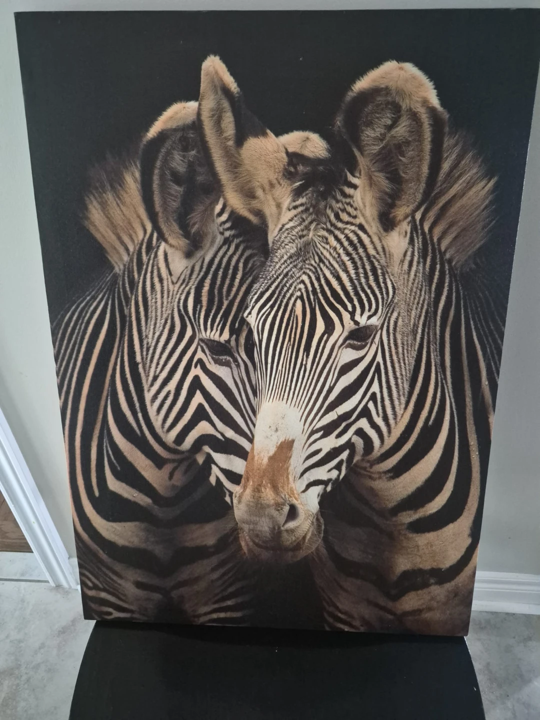 Zebra Canvas Wall Art Print