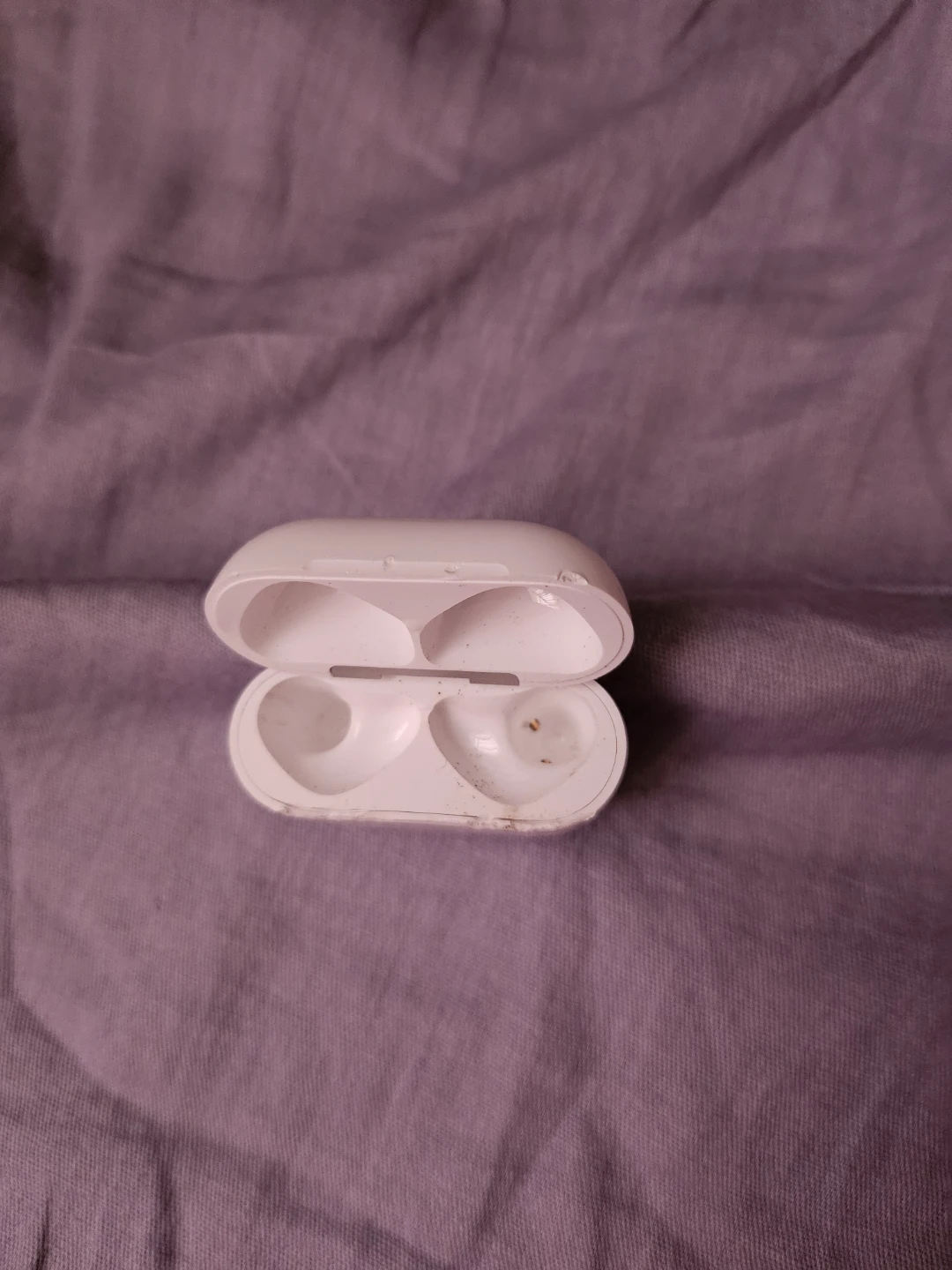 Apple AirPods Pro Charging Case - photo 2