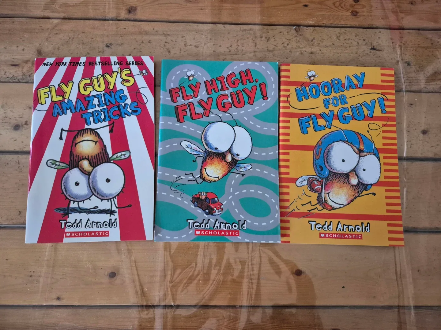 Fly Guy Book Series by Tedd Arnold - 15 books - photo 4