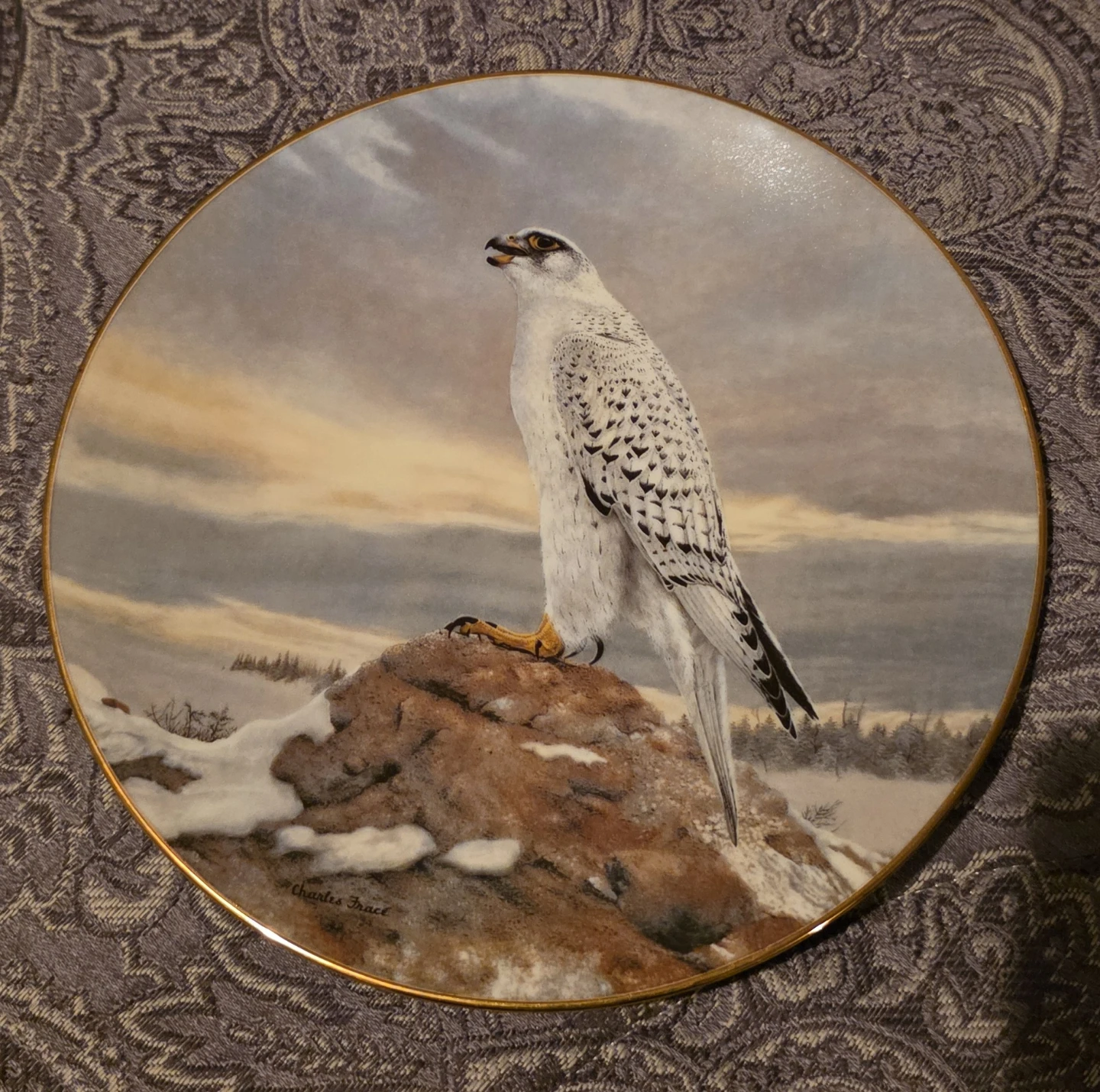 1991 "The Gyrfalcon" Collector Plate by Charles Fracé