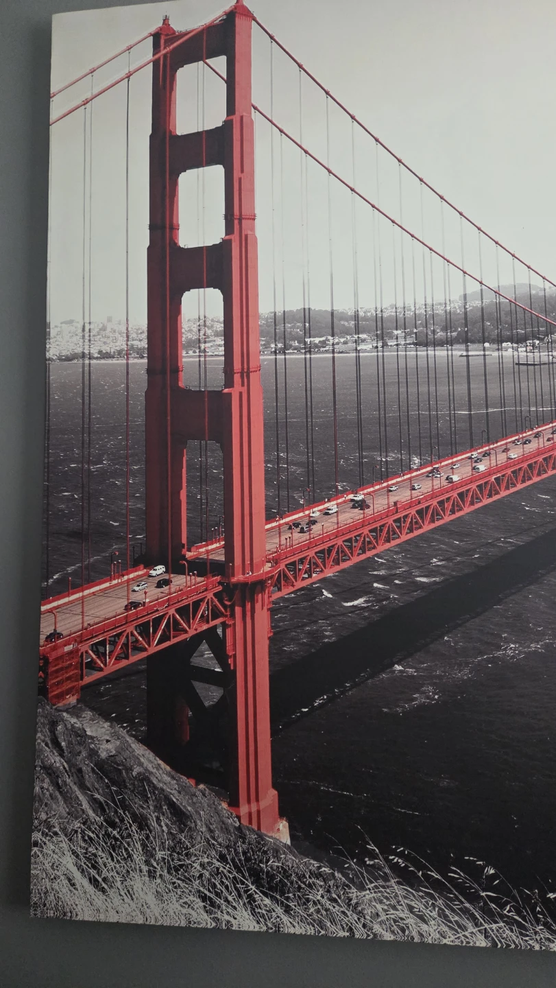large canvas from jysk - photo 2