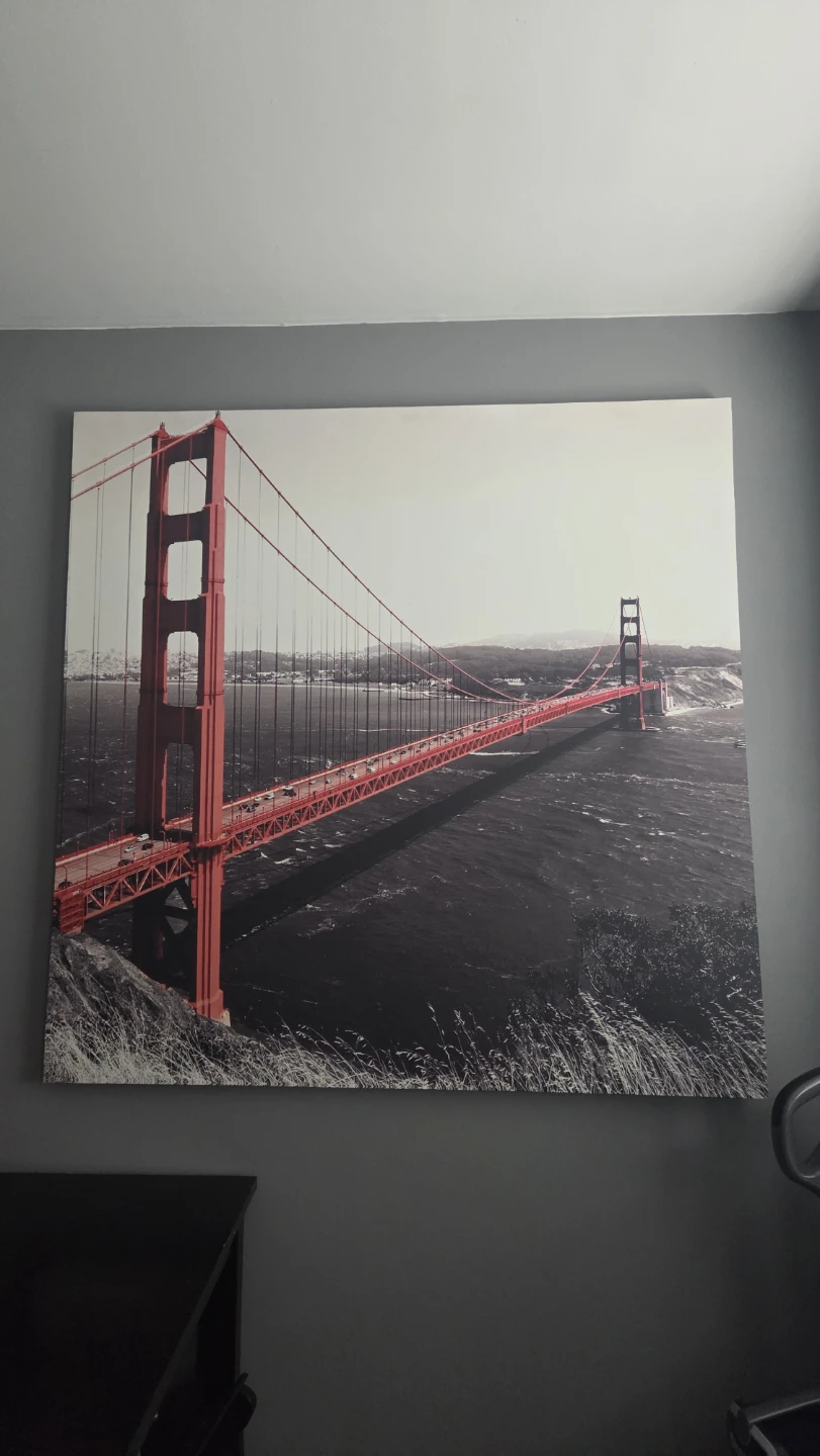 large canvas from jysk - photo 3