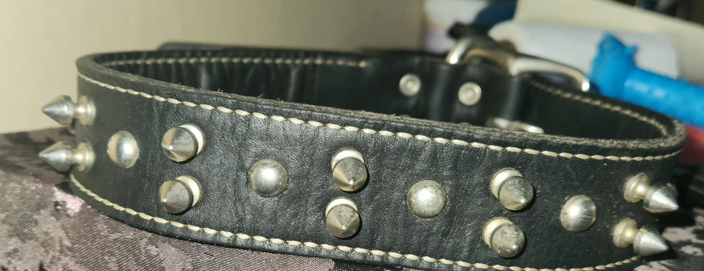 Black Leather Spiked Dog Collar - photo 3