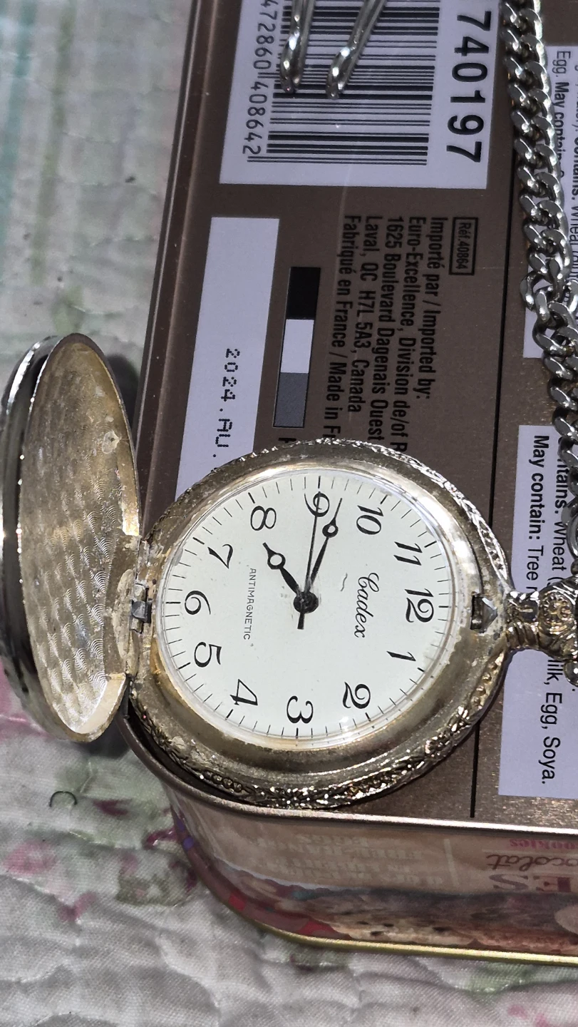 Pocket Watch - photo 3