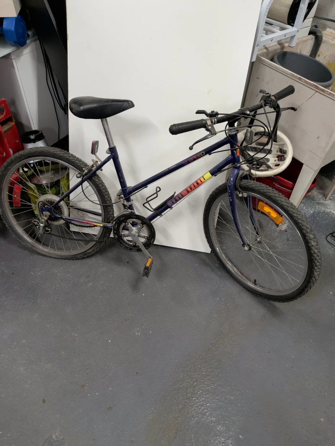 Blue Spark 12-Speed Bicycle