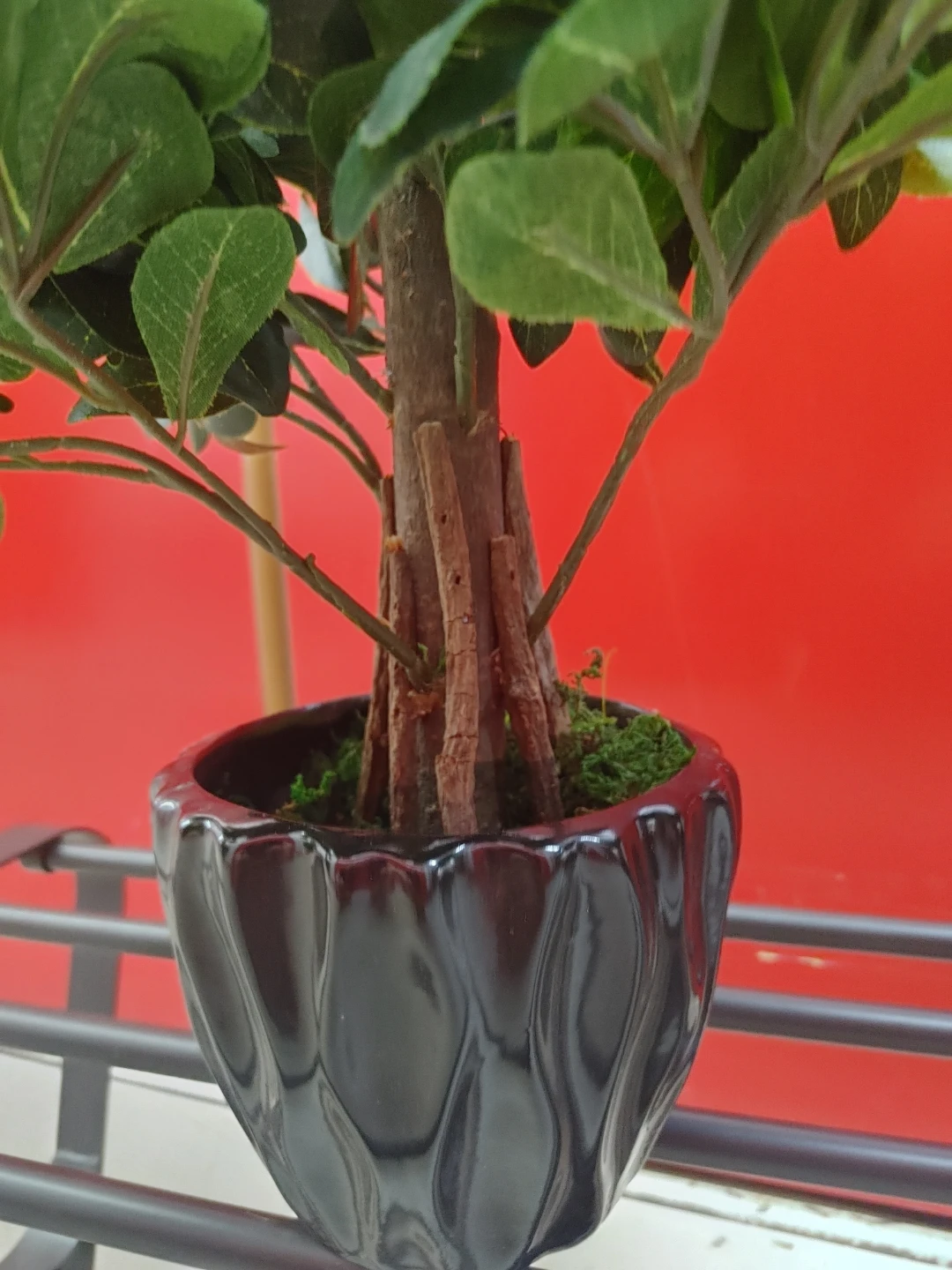 Artificial Ficus Tree in Black Pot - photo 5