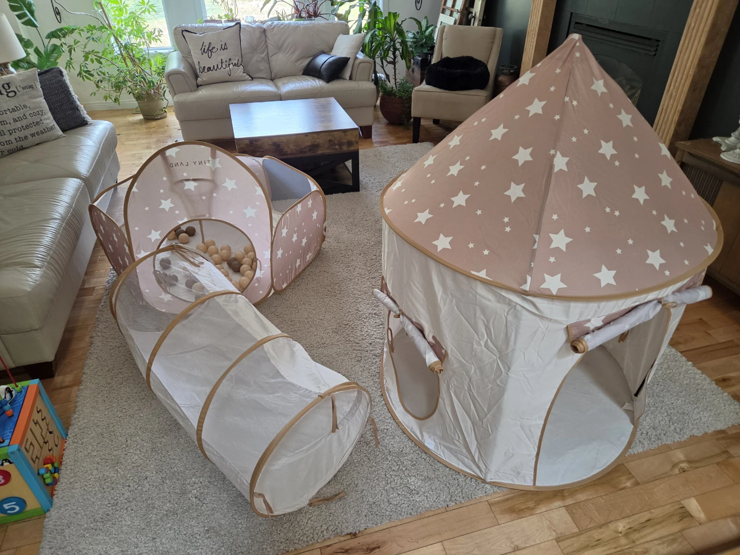 Kids Play Tent with Tunnel and Ball Pit