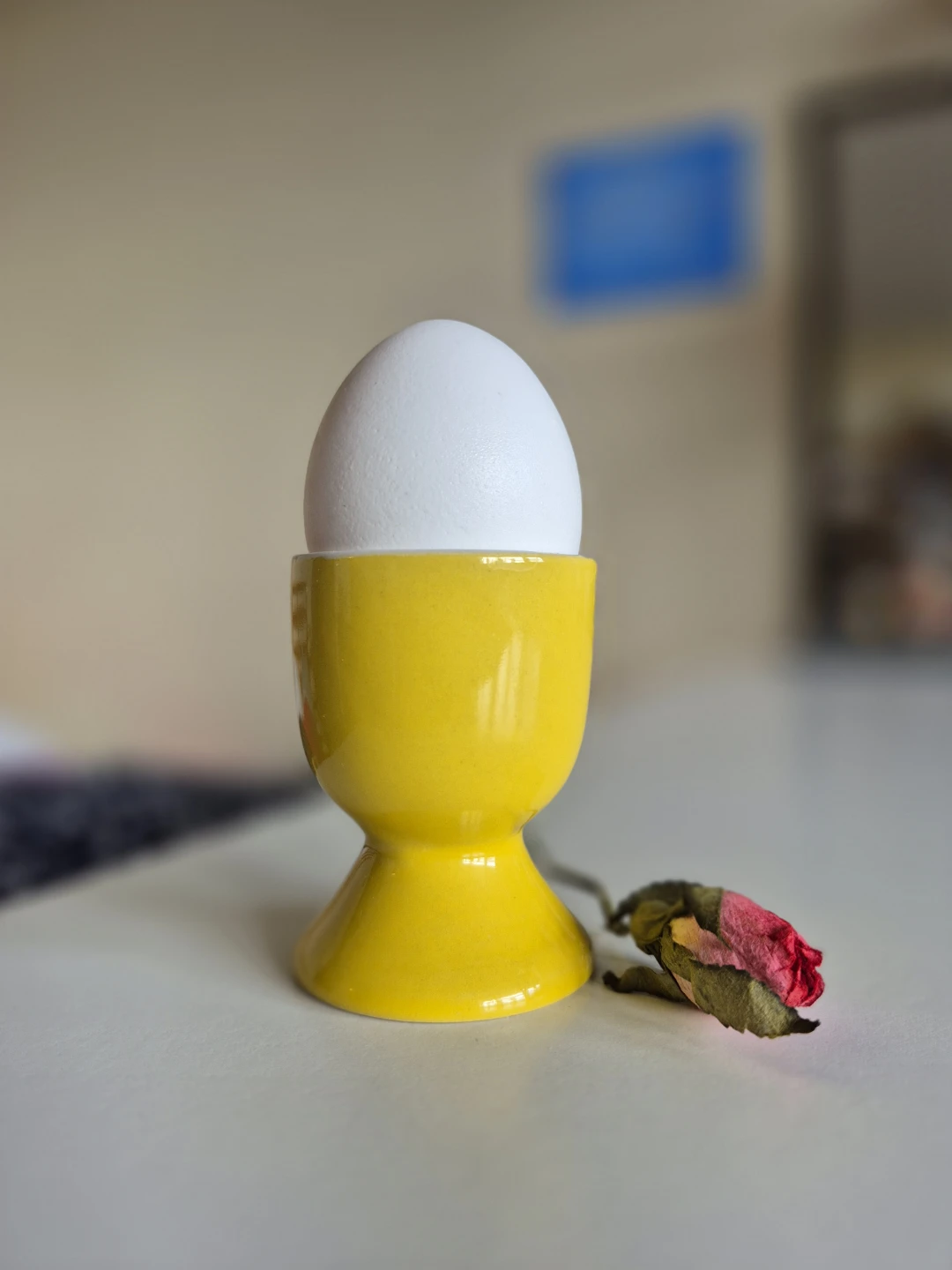 Egg Cup - photo 5
