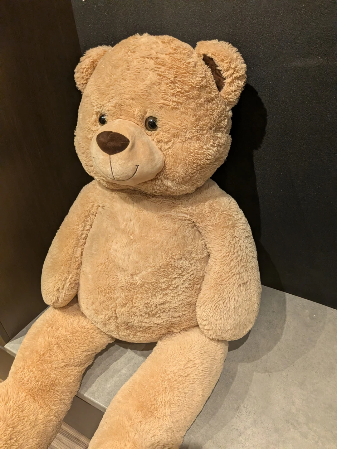 Giant Teddy Bear - photo 2