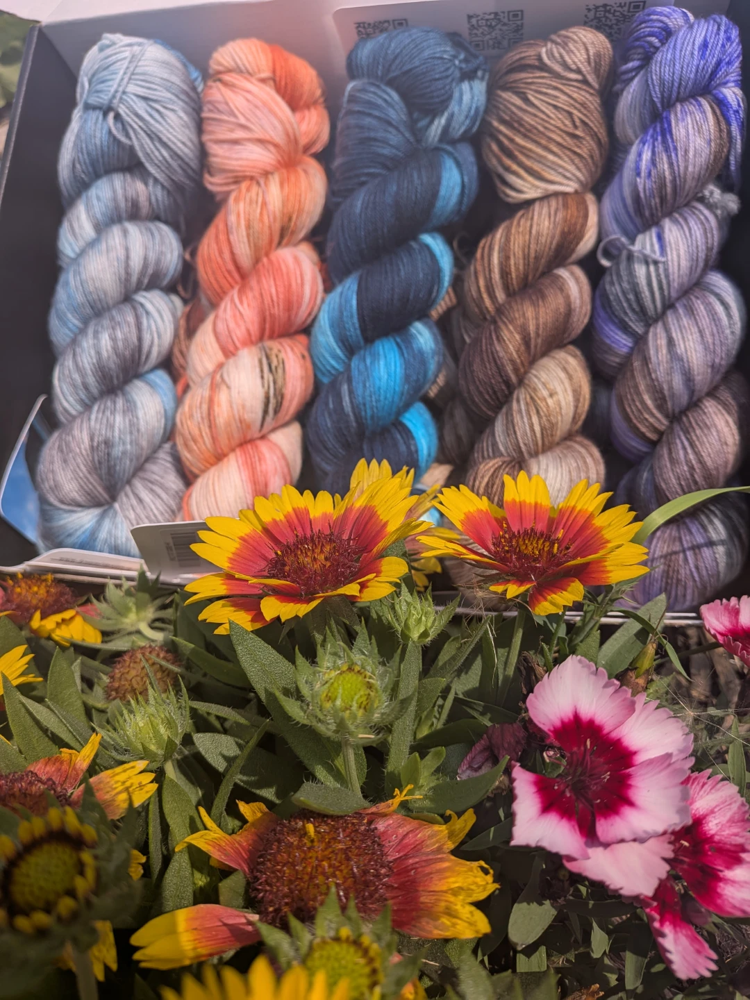 Sock Yarn